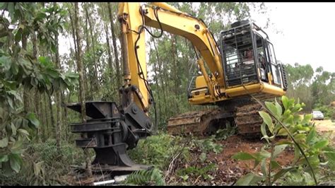 Worlds Modern Long Reach Excavator Machine Working Cutting Big Tree