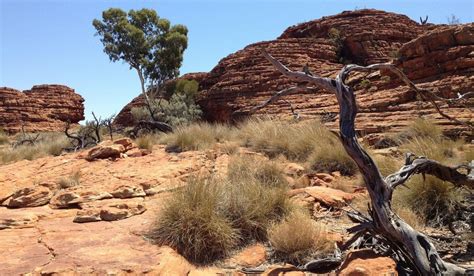15 Best Things To Do In The Australian Outback Touristsecrets