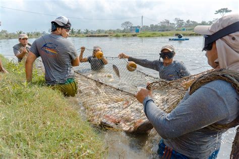 La Pesca Una Actividad Prehistórica Que En México Genera Empleo