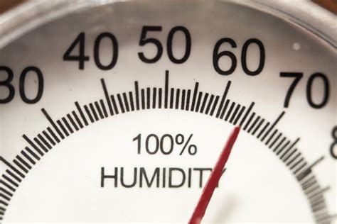 A Guide To Indoor Humidity