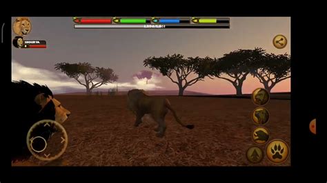 Ultimate Lion Simulator Gameplay YouTube
