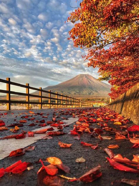 Autumn In Japan Autumn