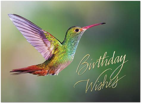Hummingbird Birthday Card Business Birthday Cards Posty Cards