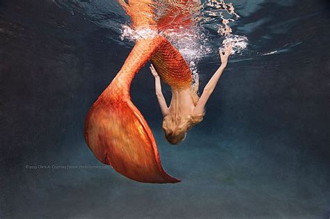 26 best mermaids r us images on pinterest little mermaids mermaid tails and mermaid