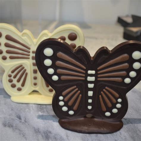 Butterfly Chocolate Model