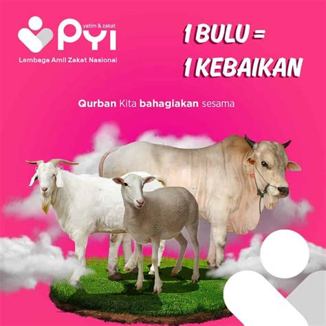 Apa Arti Qurban Serta Keutamaan Melaksanakannya? - Panti Yatim Indonesia