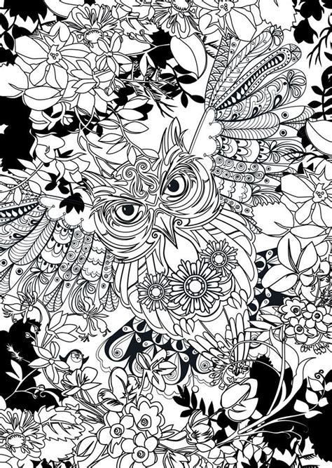 owl coloring pages ideas   pinterest owl printable  page   adult