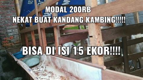 Anda yang perlu referensi merk makanan di pet shop banyak ditemukan merk makanan kucing murah terbaik yang berkualitas baik. DIY Membuat Kandang Kambing Murah - YouTube