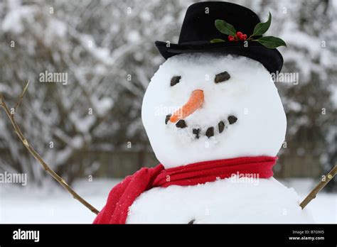 Close Up Of A Snowman With Hat Scarf And Carrot Nose Stock Photo Alamy