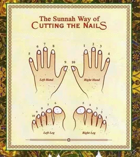 You can choose the potong kuku (cara sunnah) apk version that suits your phone, tablet, tv. Kesinambungan Zaman: Cara Potong Kuku Ikut Sunnah Nabi ...