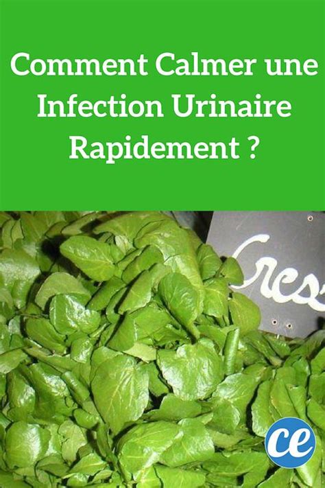 Comment Calmer Une Infection Urinaire Rapidement Fitness Advice