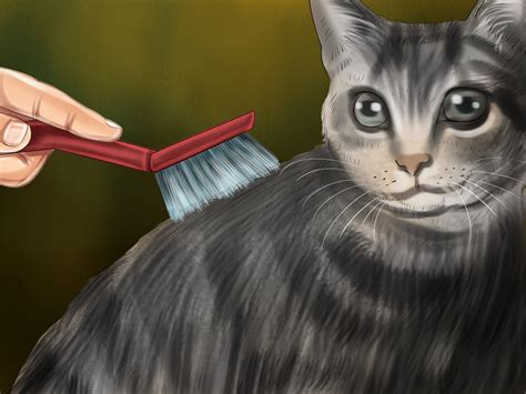 Without proper dental care (in this case, regular teeth brushing) your cat may develop gingivitis, a condition that can degenerate to periodontal disease and eventually affects the organs. 3 Ways to Brush a Cat - wikiHow