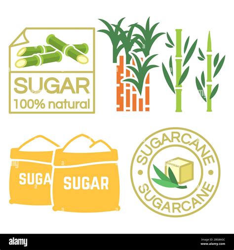 Sugar And Sugar Cane Labels Icons Isolated On White Vector