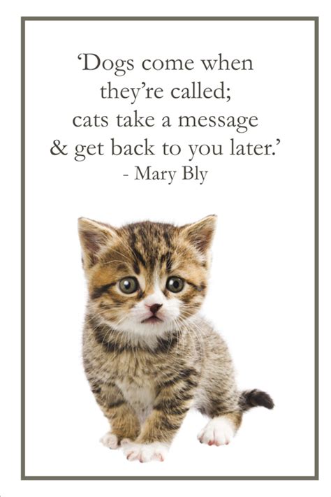Quotes About Cat And Dog 98 Quotes