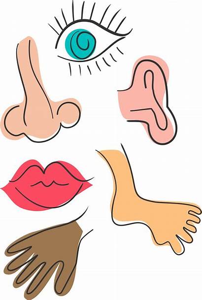 Body Parts Clipart Face Cliparts Clipground Quotes