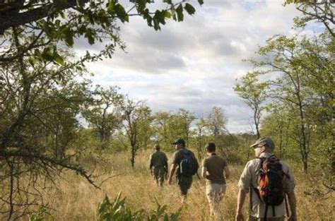 Le Meilleur Du Safari Au Mozambique Avec Makila Lafrique Idéale