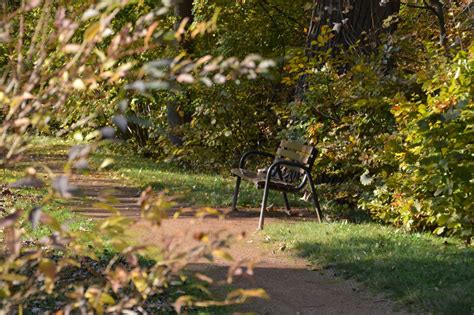 Laden sie dieses kostenlose foto zu bank im herbst park und entdecken sie mehr als 8m professionelle stockfotos auf freepik. Die Bank im Park Foto & Bild | landschaft, garten ...
