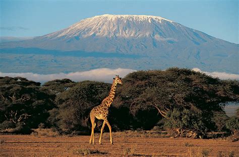 Kilimanjaro Height Map Country And Facts Britannica