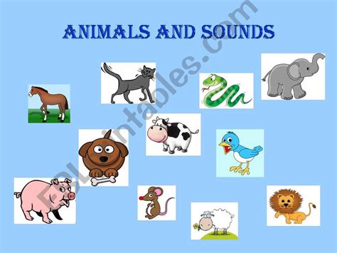 Esl English Powerpoints Animal Sounds 12