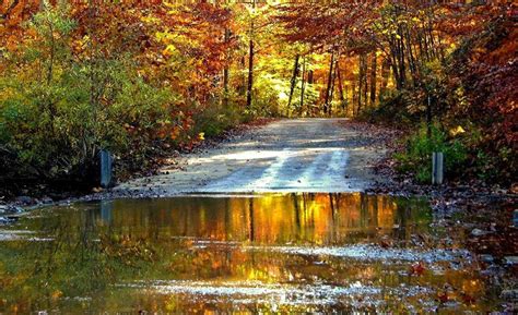 Arkansas Autumn By Barbara Mcdonald Pretty Places In Wallpaper