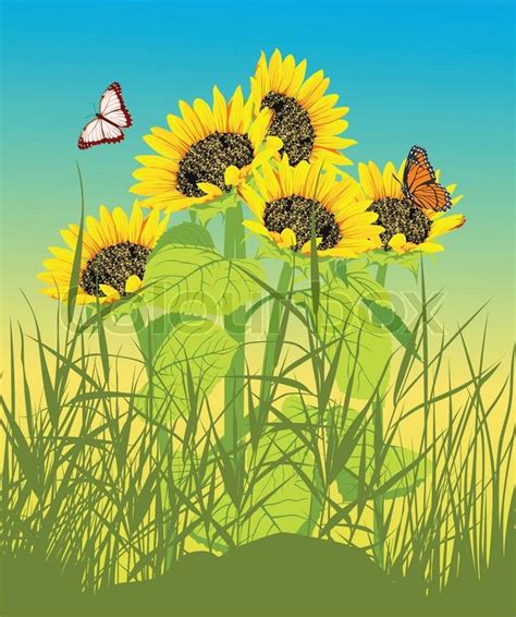 Affordable and search from millions of royalty free images, photos and vectors. Floral summer card with sunflower and butterfly | Stock ...