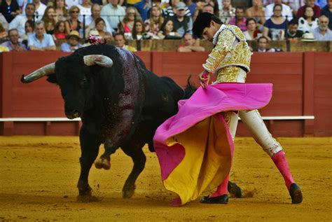 Bullfighting To Return To Spains Andalucia From June 21 With 50 Of