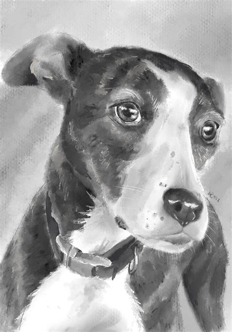 My Sisters Dog By Kaleyobsidia On Deviantart