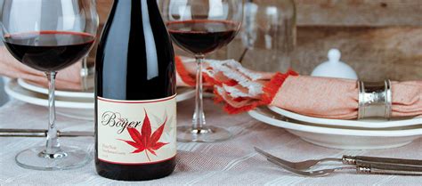 See our discounts, coupons and price comparisons, including pinot noir! Rick Boyer Santa Barbara Pinot Noir 2018 | NakedWines.com