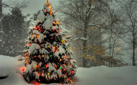 Download Beautiful Christmas Tree Covered In Snow Wallpaper