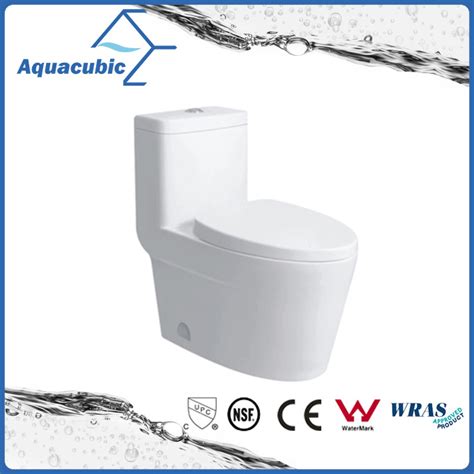 Siphonic One Piece Ceramic Toilet In White Act9328 China Toilet And