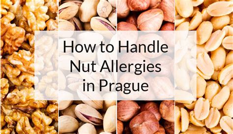 Prague Nut Allergy Advice Livingprague 必威吧