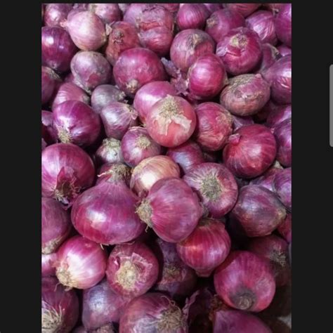 Bawang Merah Besar 1kg Lazada Indonesia