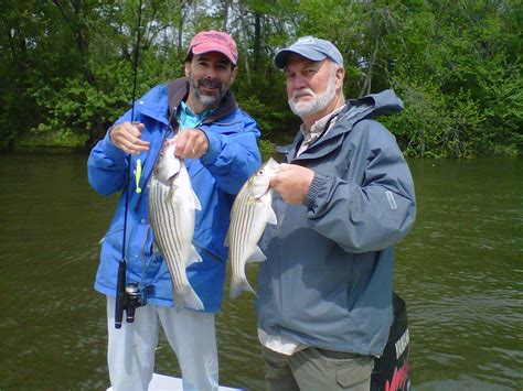 Tar Pam Guide Service Roanoke River Striper Fishing Charterstar Pam