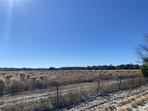 20 ACRES OF LANDLOCKED PROPERTY FOR ONLY $85,000!!!