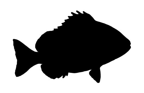 Fish Silhouette Clip Art Fishing Rod Png Download 1280828 Free