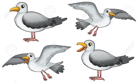 Seagle) e produzido pelos estúdios de cartoon network studios (antigamente: Seagull the world clip art - WikiClipArt