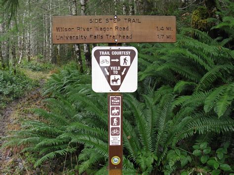 Tillamook state forest is a state forest on the northern oregon coast. Tillamook State Forest Blog: Non-Motorized Trails