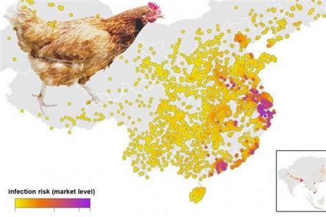 Search for text in url. H7N9研究：中國等特定區域感染風險高-風傳媒