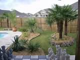 Images of Pool Landscaping Trees