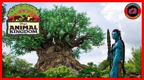 Going Wild In Animal Kingdom At Walt Disney World Youtube