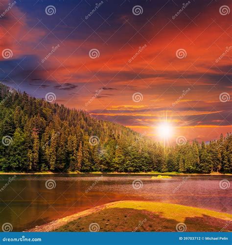 Pine Forest And Mountain Lake At Sunset Stock Photo Image Of Outdoos