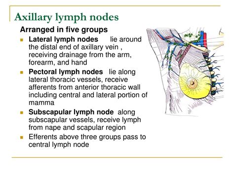 Achy Lymph Nodes Under Arms The Request Could Not Be Satisfied