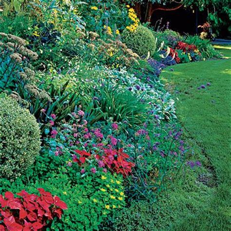 Browse bedding flower seeds and plants for beautiful blooms for annual flower gardens of all sizes. Garden borders, Plants and Border garden on Pinterest