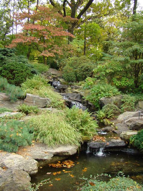 To start your rock garden adventure, envision the finished product. Simple Rock Garden Ideas Photograph | Rock Garden Design Ima