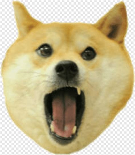 Doge Group Roblox Actuallytim Twitter Codes