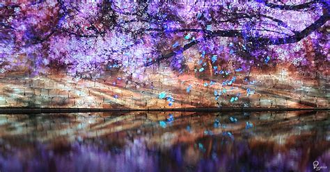 Kyoto Nijo Castle Illumination Naked Flower Ice Blog Travel Journals