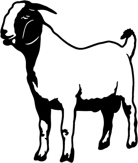 Nubian Goat Silhouette At Getdrawings Free Download