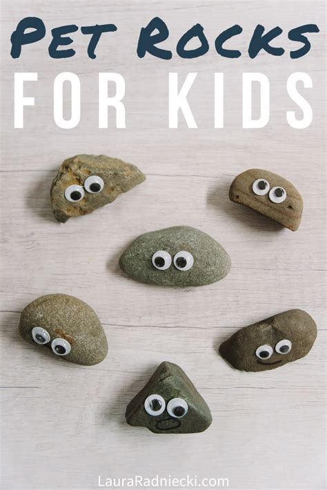 How To Make Pet Rocks For Kids Easy Diy Kids Crafts