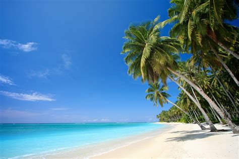 Tropical Beach Desktop Wallpaper Wallpapersafari