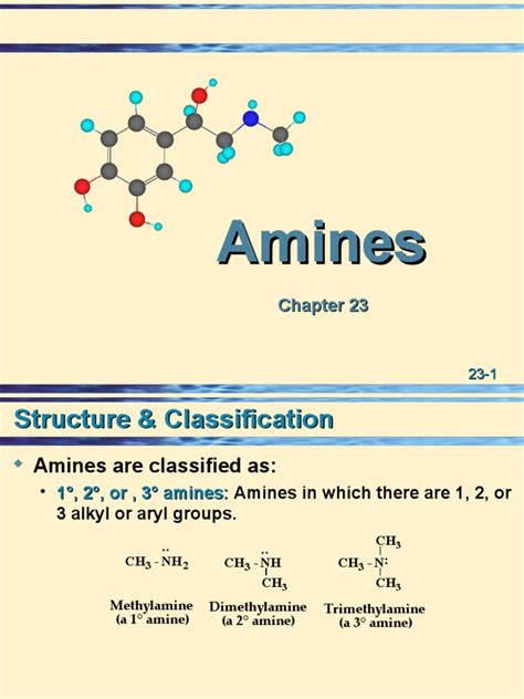 23 Amines Pdf Amine Acid Dissociation Constant
